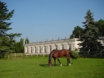 Haras de Triaval (SCEA)