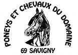 Poneys et chevaux du Domaine