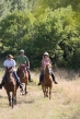 ferme equestre du crabol