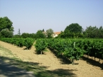 Domaine De Pardeilhan