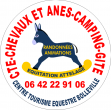 CTE CHEVAUX ET ANES, CAMPING, GÏTE