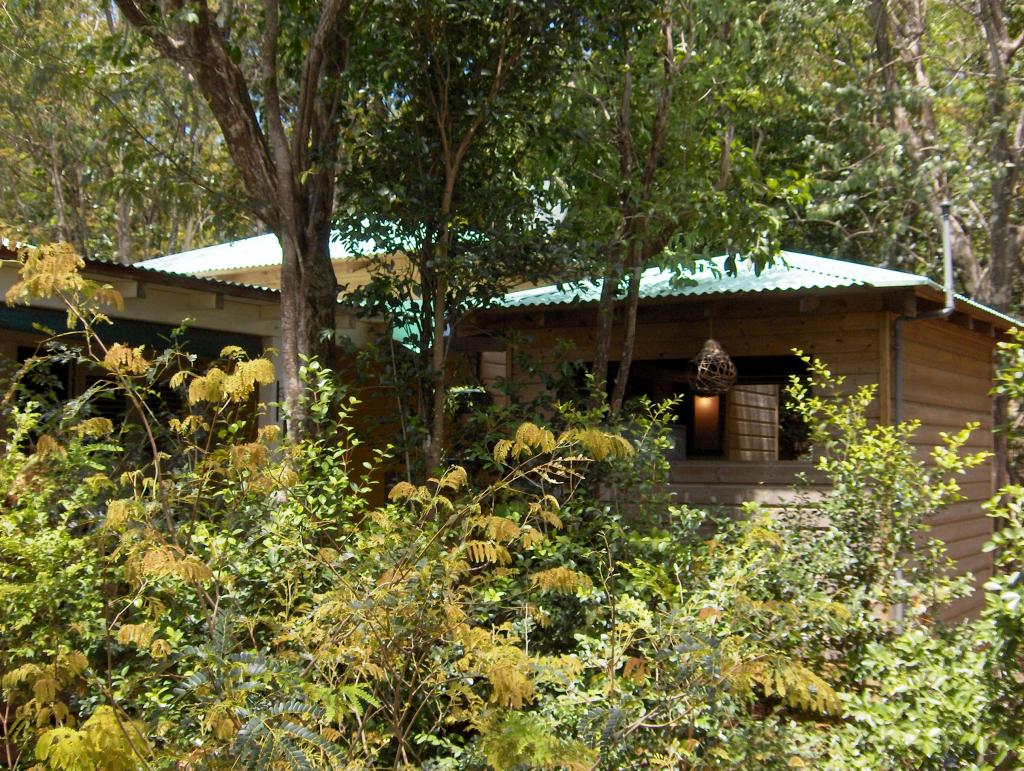 Cabane dans les arbres.JPG