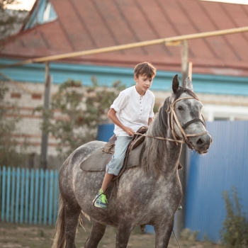 Ferme Equestre de Traclin